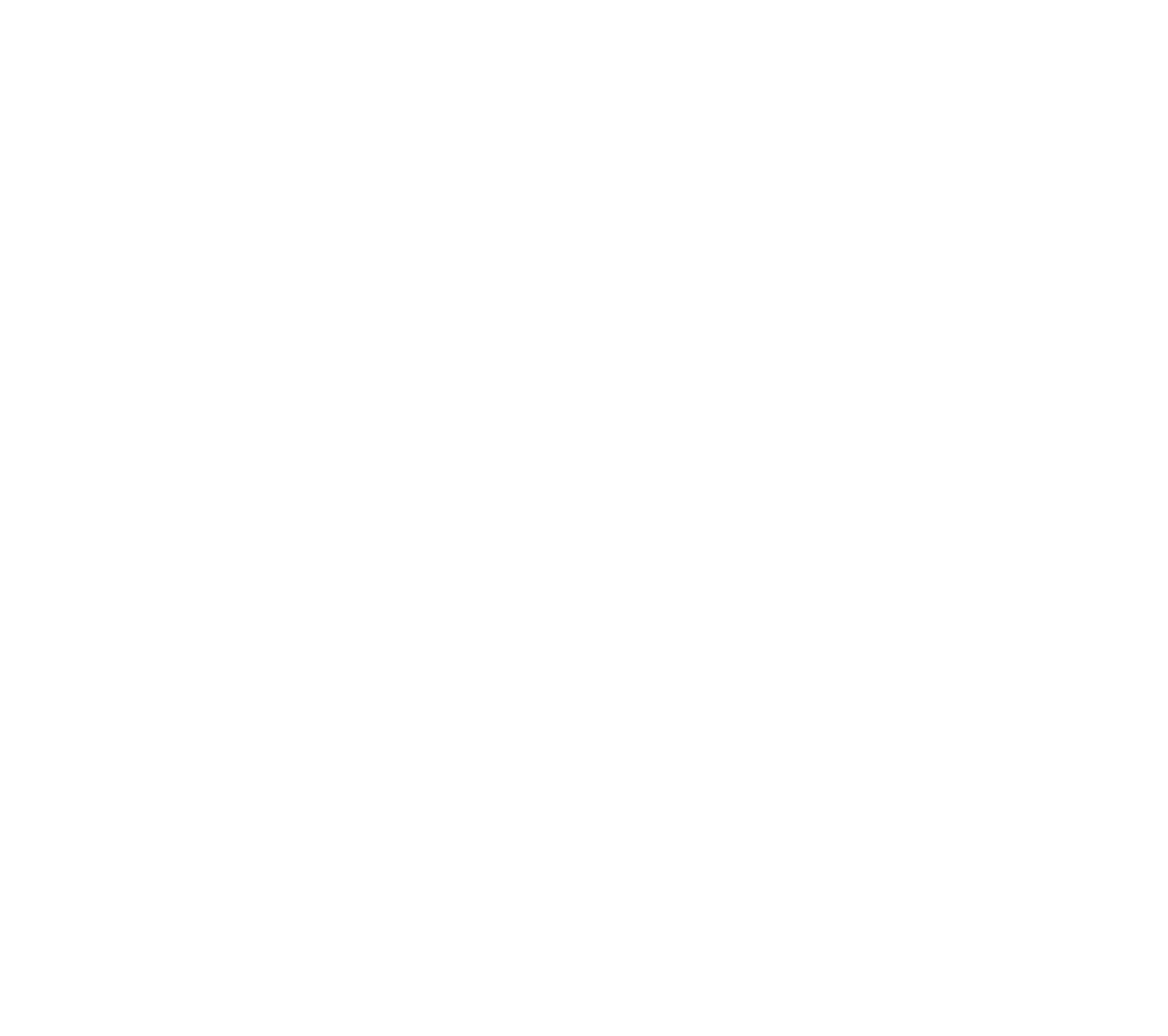 SHOWX Logo (white)