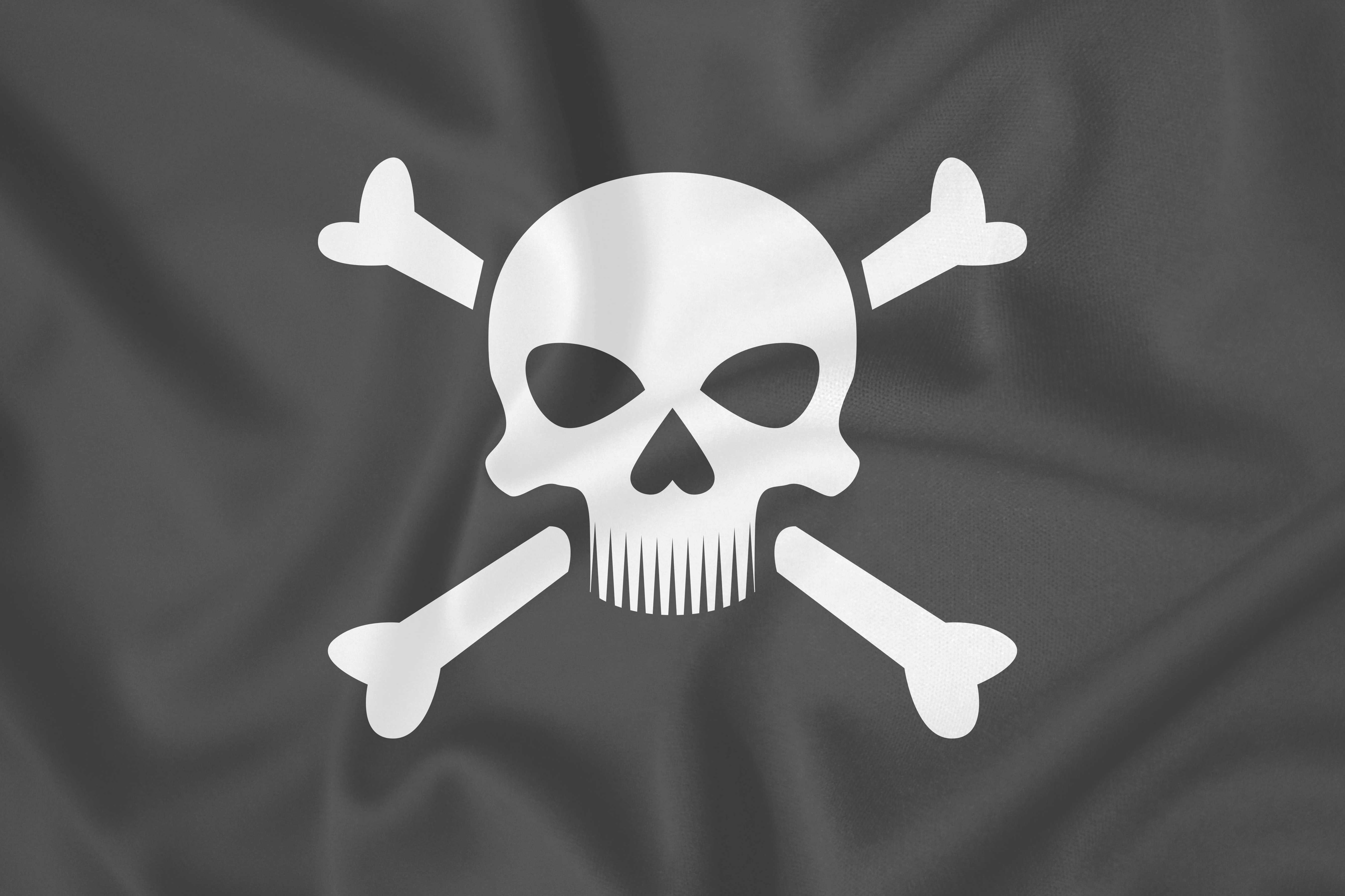 pirate flag 2
